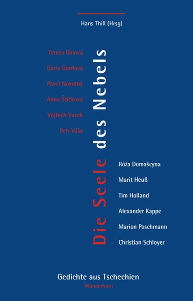 Cover: Die Seele des Nebels